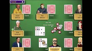 Classic Sierra Hoyle Casino 4 Gameplay [upl. by Nrol]