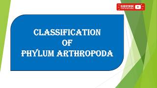 Phylum Arthropoda classification Both Old and Latest classification [upl. by Attenaj514]