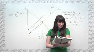 Microeconomics Practice Problem  The Cost of Externalities and the Logic of Corrective Taxes [upl. by Yzzo]