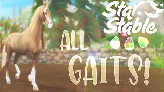 ALL Marwari GAITS WITH AND WITHOUT RIDER  Star Stable Updates  SSO [upl. by Namyac]