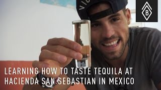 Learning How To Taste Tequila At Hacienda San Sebastian In Mexico [upl. by Hermes]