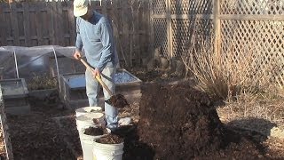 Turning The FallWinter Compost amp the Worms are Alright [upl. by Dej555]