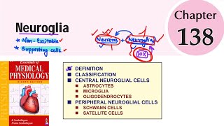 Neuroglia  Ch138  Neurophysiology  sembulingam physiology [upl. by Goldia]