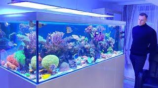 GERMAN REEF TANKS  quotnext levelquot Reef Aquarium TOUR  1500 liter  400 gallon  Acanthurus Achilles [upl. by Cahan]