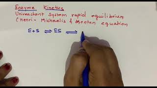 enzyme kinetics MICHAELIS MENTEN EQUATION [upl. by Mcnelly740]