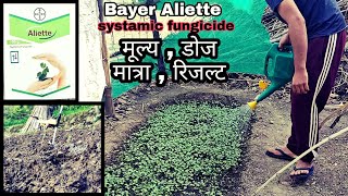 Systamic fungicide  Bayer Aliette  Fosetyl Al 80WP  Bayer  PraveenThakur  Aliette fungicide [upl. by Dnaltiak]