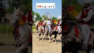 Tent pegging Epi 76 shortvideo championship rider 40ala viralvideo pakistan india horse [upl. by Poul]