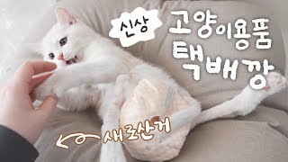 내돈내산 이번달에도 잔뜩 샀어요 고양이 용품 택배깡 🛒 [upl. by Nalyac]