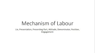 Basics in Mechanism of Labour  Obstetrics for Medical Students [upl. by Nathanoj]