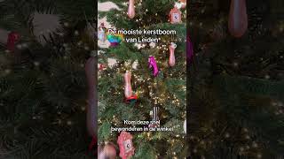 De leukste kerstboom christmas christmastree kerstboom [upl. by Lebna683]