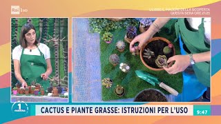 Il giardino di Castello Ruspoli a Vignanello  Unomattina 28042021 [upl. by Sexton]