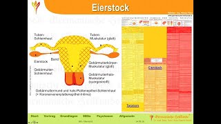 Eierstock und Hoden  HelmutPilharGHk [upl. by Nairadal]