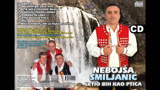 Nebojsa Smiljanic i Rajko Lalic  Braco Kosovljani Audio 2017 [upl. by Lawley901]