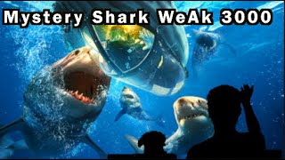 Mystery Shark Week 3000 Belly of the Beast [upl. by Aiksas29]