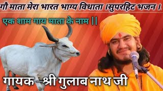 गौ माता मेरा भारत भाग्य विधाता सुपरहिट भजन गायक –श्री गुलाब नाथ जी gulabnathjibhajannathjibhaj [upl. by Tracy683]