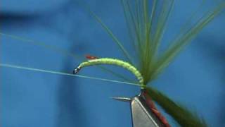 Tying the McPhail Marabou Bug by Davie McPhail [upl. by Sesylu165]