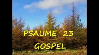 Psaume 23 Gospel [upl. by Irek506]