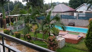 Its Raining Cats And Dogs In Entebbe UGANDA [upl. by Neenaej989]