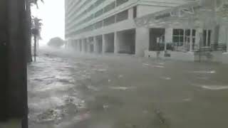 Se sale el mar en miami huracán irma [upl. by Yma]