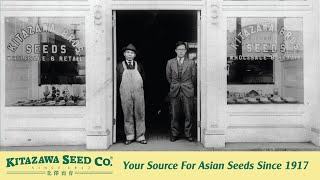 Kitazawa Seed CompanyYour source for Asian garden seeds since 1917 Bulk sizes to paper packets [upl. by Adamina184]