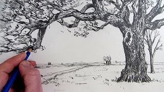 How To Draw A Tree Narrated step by step [upl. by Eugenides911]