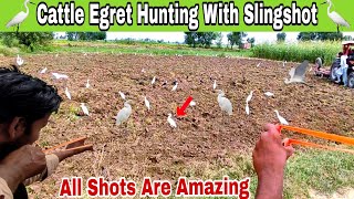 Amazing Cattle Egret Bird Hunting With Slingshot [upl. by Debi]