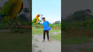 Flying crying babies Catching vs frog parrot amp goat vs yellow lizard  Funny vfx magic 😄😆😆 [upl. by Eenahc]