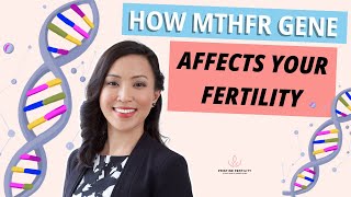 How the MTHFR Gene Affects Fertility Folate Metabolism amp IVF Success [upl. by Nilyac]