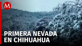 Afectaciones por nevadas en Chihuahua suministro eléctrico y comunicaciones dañadas [upl. by Anwaf]