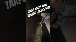 Face grabbing a big tarpon at night tarpon fishing fishingvideo bigfish nightfishing shorts [upl. by Ierdna163]