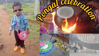 Pongal celebration vlog  DIML vlog  Pongal Suryachitrarudra [upl. by Nork854]