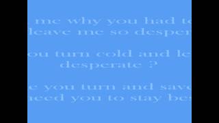 Desperate  Nicole Scherzinger Lyrics [upl. by Patience]