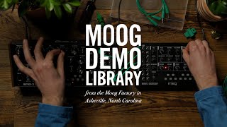 Moog Mavis  How to Integrate with Mother32 DFAM amp Subharmonicon [upl. by Laddy170]