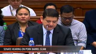 TG Guingona makes opening statement [upl. by Zednanref]