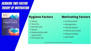 Herzberg two factor theory of motivation [upl. by Ajnek]