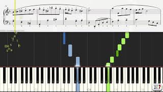 Minuet in D minor by Johann Sebastian Bach  Piano Practice Video [upl. by Octave307]