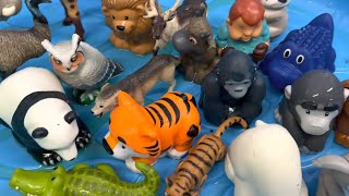 Zoo Animal Toys Washing [upl. by Namron]