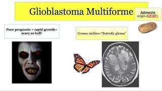 12DaysinMarch Brain CNS Tumors with Questions for the USMLE Step One Exam [upl. by Gile]