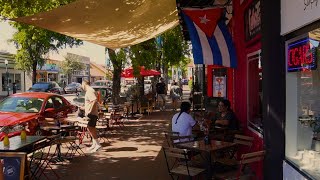 A Walk In Little Havana Miami  Calle Ocho 🇺🇸 [upl. by Barnet]