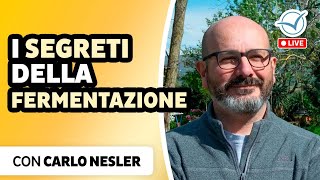 I segreti della fermentazione limportanza dellattività microbica  Carlo Nesler [upl. by Enelram338]