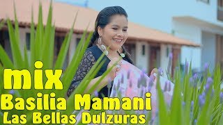 ZAPATEO  MIX  Basilia Mamani y Las Bellas Dulzuras [upl. by Nrojb]