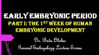 1ST WEEK OF HUMAN EMBRYONIC DEVELOPMENT [upl. by Kohcztiy]