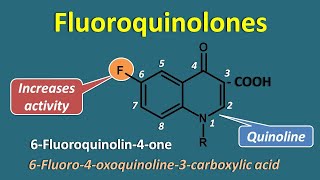 Fluoroquinolones  Generations and spectrum of activity [upl. by Nappie]