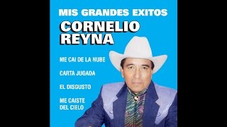 Cornelio Reyna  El Disgusto [upl. by Cherianne]