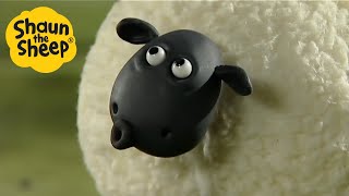 Shaun the Sheep 🐑 EPIC SHEEP  Cartoons for Kids 🐑 Full Episodes 🐑 Full Season 1 [upl. by Yetti99]