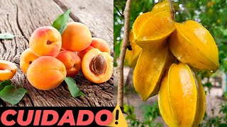 AS 7 FRUTAS MAIS PERIGOSAS DO MUNDO QUE VOCÊ DEVE TOMAR CUIDADO [upl. by Elleral]