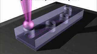 Gravityoriented microfluidic device for uniform and massive cell spheroid formation [upl. by Omidyar]