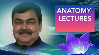 Spaces of supracolic compartment peritonium part1417  by Dr A K Singh [upl. by Nina710]