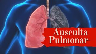 Ausculta Pulmonar  roncos sibilos estertores  ruídos adventícios [upl. by Ainahpets]