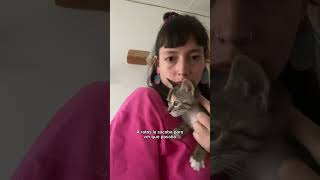 Gato recibe en casa a su nueva hermanita VIDEO HERMOSO🥰😻 [upl. by Neeka257]